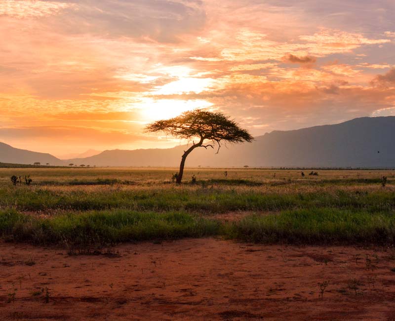 Masai Mara park