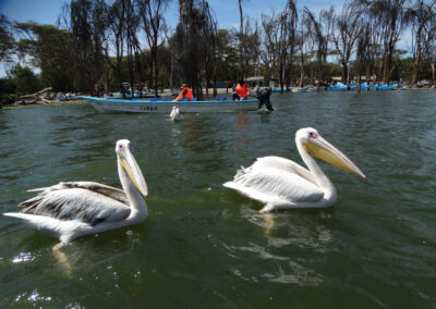 Lake Naivasha Lenko Tours & Safaris